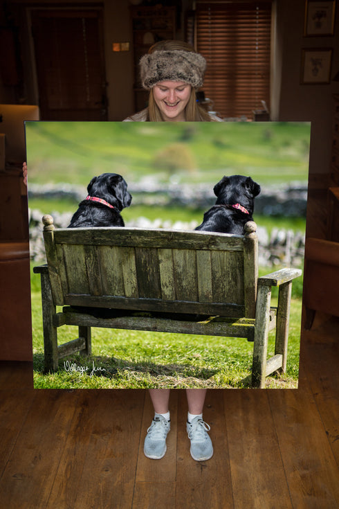 JUMBO ART - TWO FAT LADIES - HUGE 1 Metre Square Canvas
